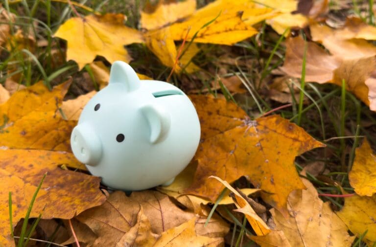 Pink piggy Bank in autumn leaves on the ground. Autumn background